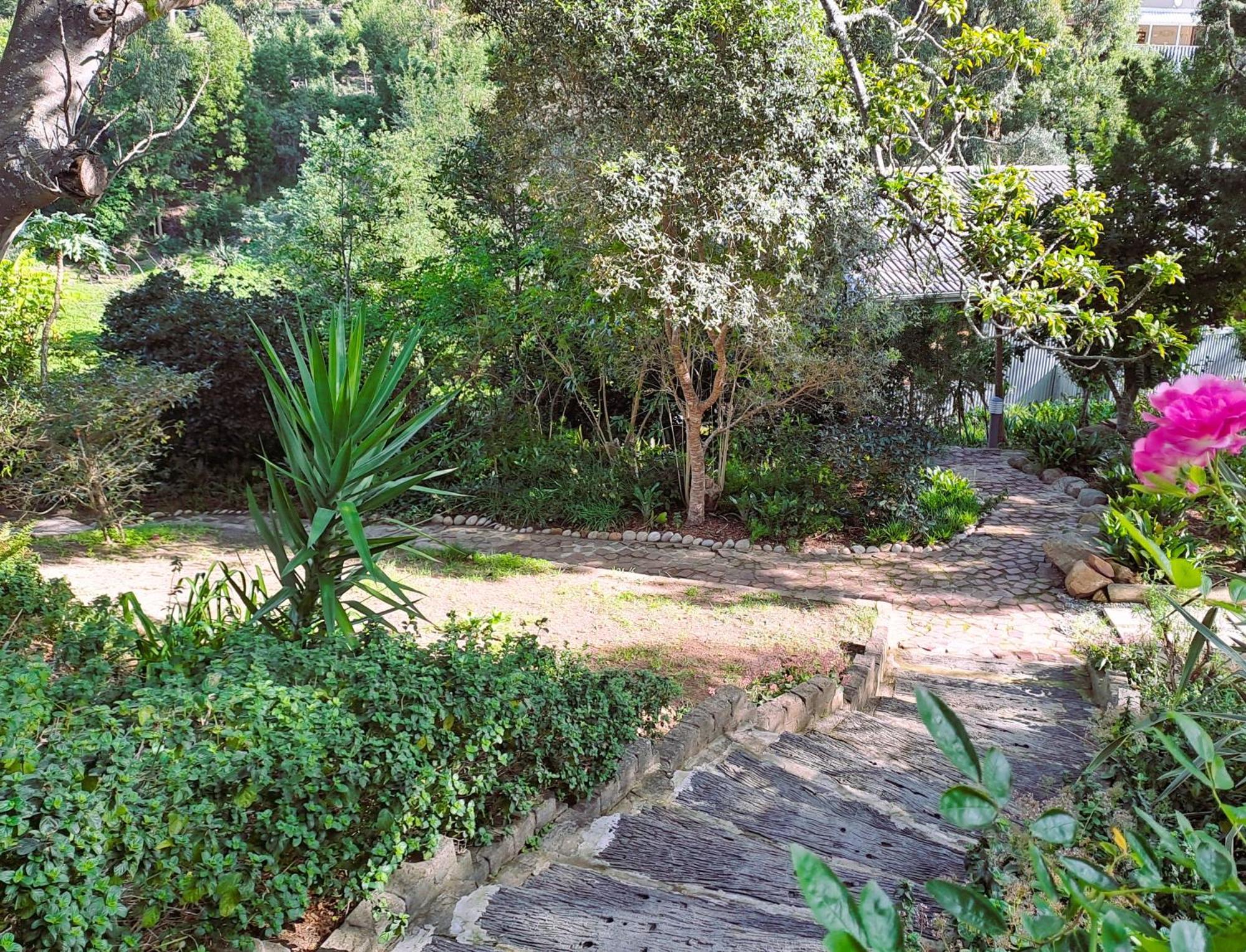 Badger'S Cottage Knysna Eksteriør bilde